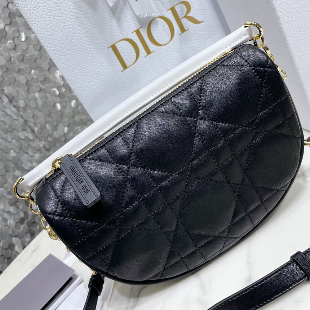 small D*or vibe hobo bag