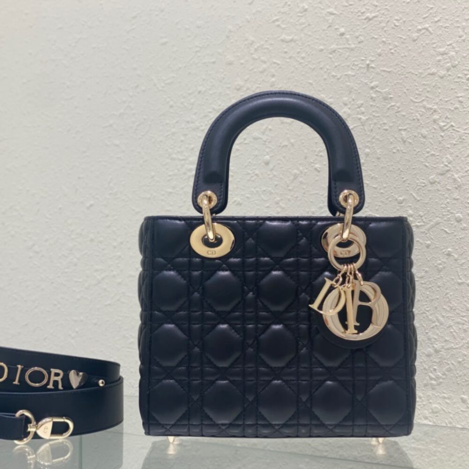 small lady D*or my abcD*or bag